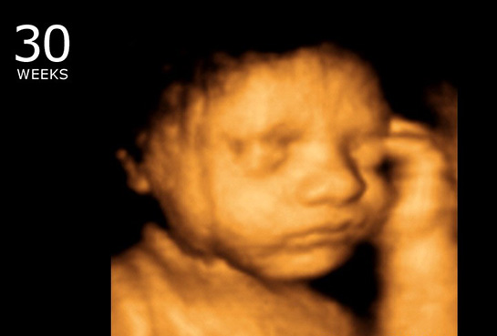 Gebelikte 30.hafta Beslenme ve Değerleri