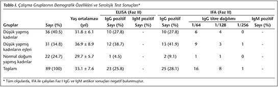 Kanda Gebelik Testi Nasıl Yapılır?